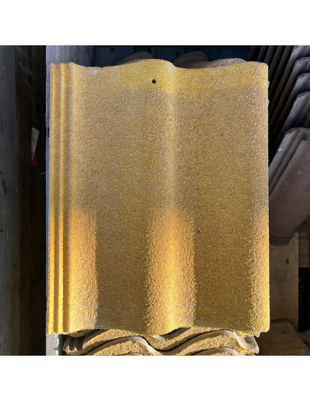 Takpanna, Zanda, Tvåkupig - Gul