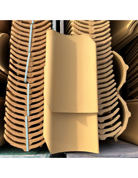 Takpanna Höjslev, Enkupig- Gul