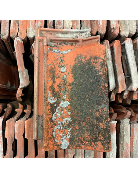 Takpanna, Svedala, Enkupig - Röd