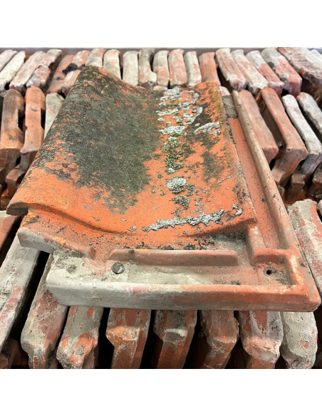 Takpanna, Svedala, Enkupig - Röd