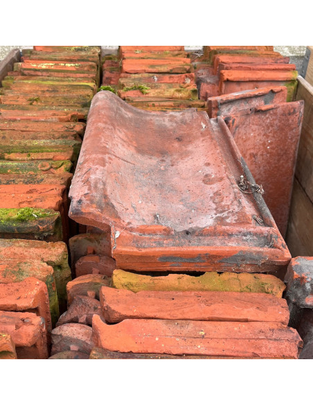 Takpanna, Kanik, Enkupig - Röd