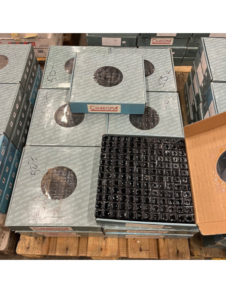 Kakel & Klinker - 6 februari 2025