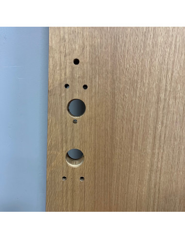 Säkerhetsdörr 900x2100 H - Trä