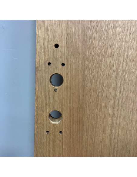 Säkerhetsdörr 900x2100 H - Trä