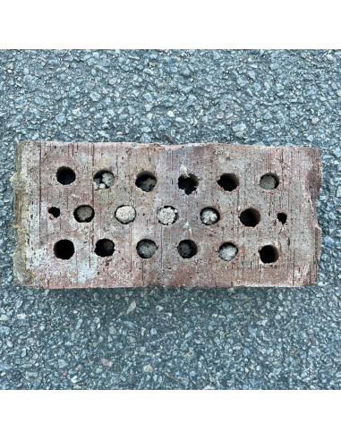 Håltegel, Hyllinge - Brun