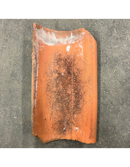 Takpanna, Ostämplad, Enkupig - Röd