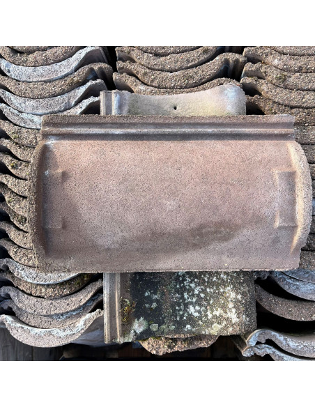 Takpanna Enkupig - Grå