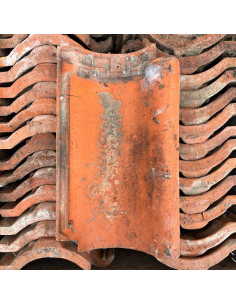 Takpanna, Stävesjö - Röd