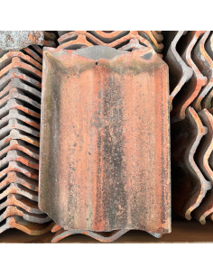 Takpanna Hercules, Tvåkupig - Röd