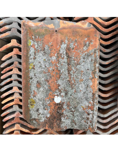 Takpanna Hercules, Tvåkupig - Röd 2