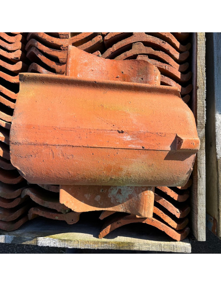 Takpanna, Enkupig - Röd