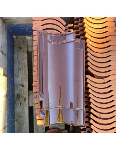 Takpanna, Laumans, Enkupig - Brun