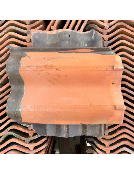 Takpanna, Heby, Tvåkupig - Brun