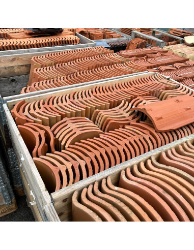 Tapanna, Höjslev, Enkupig - Röd