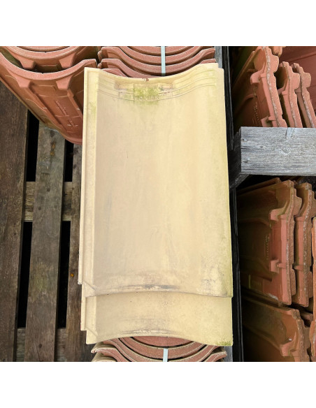 Takpanna, Monier, Enkupig - Gul