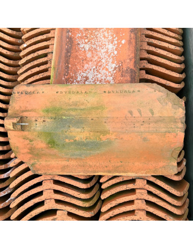 Takpanna, Svedala, Enkupig - Röd