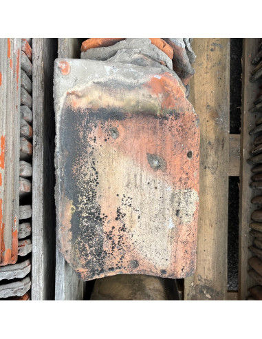 Takpanna, Höganäs, Enkupig - Gul/Röd