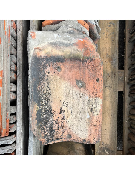 Takpanna, Höganäs, Enkupig - Gul/Röd