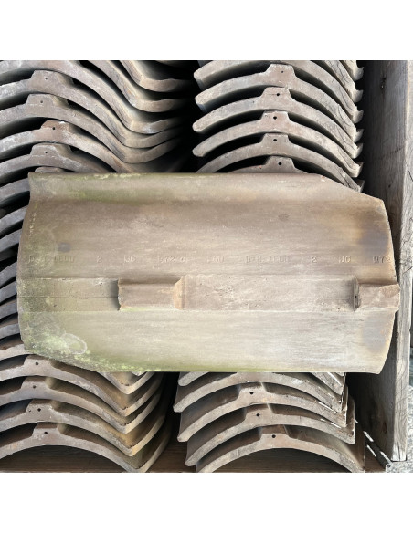 Takpanna, Dan Tegl, Enkupig - Brun